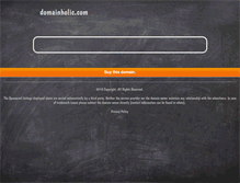 Tablet Screenshot of domainholic.com
